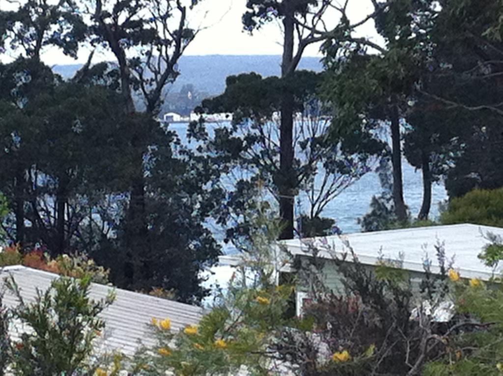 Hyams Beach - A Secret Treasure Værelse billede