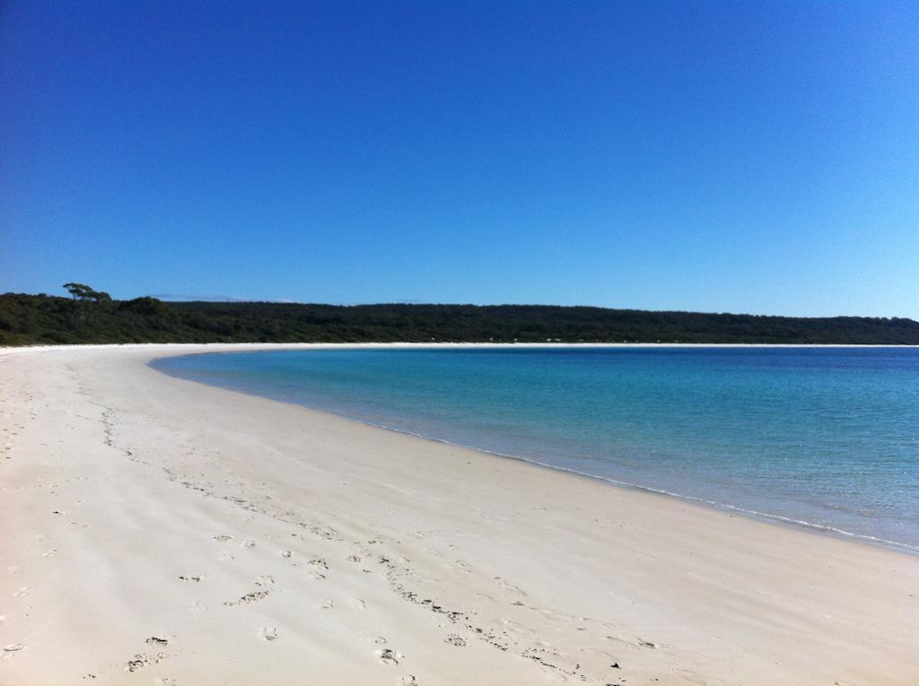 Hyams Beach - A Secret Treasure Værelse billede